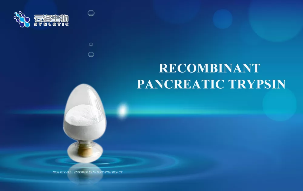 মানব স্বাস্থ্যে এনজাইমের ভূমিকা সম্পর্কে আপনি কতটা জানেন?